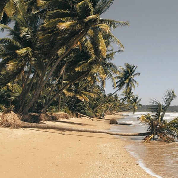 A tranquil and untouched beach in Trinidad with crystal-clear waters