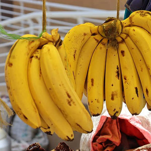 Stack of fresh bananas highlighting their affordability and nutritional value