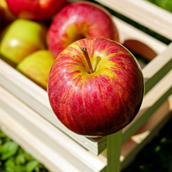 Box of red apples