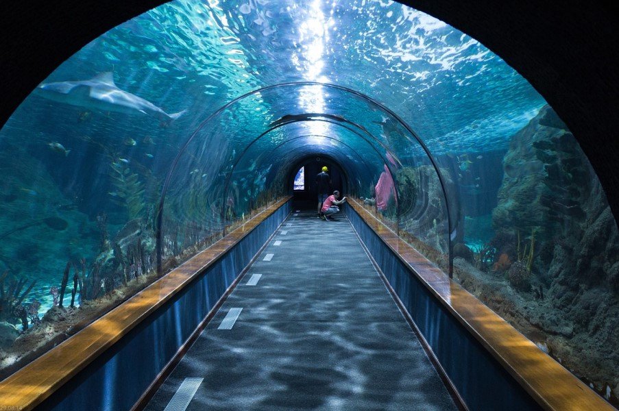 Best Aquariums in the world in The World