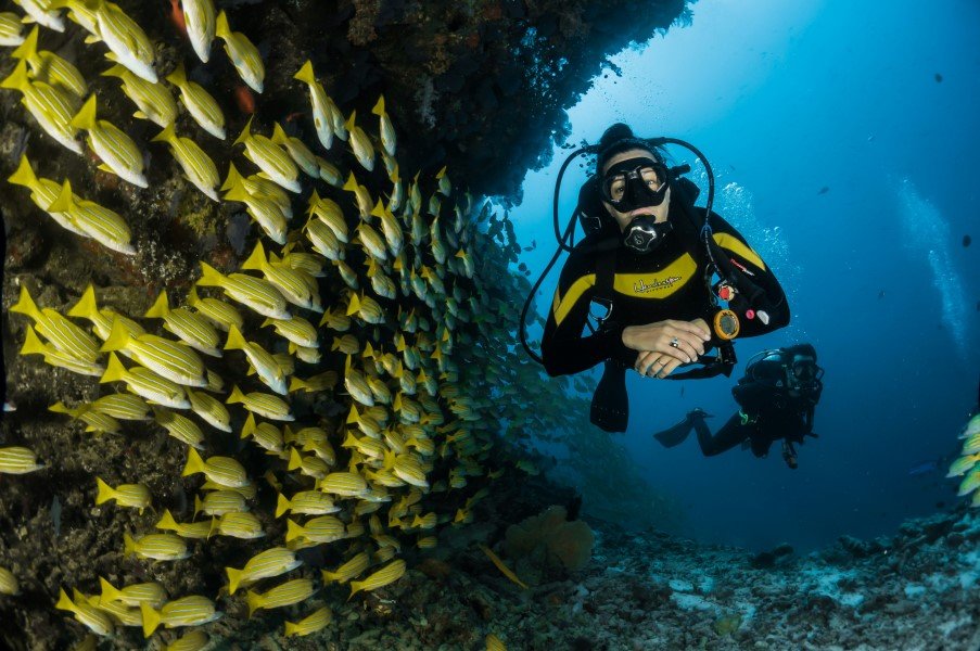 Best scuba diving locations in The World