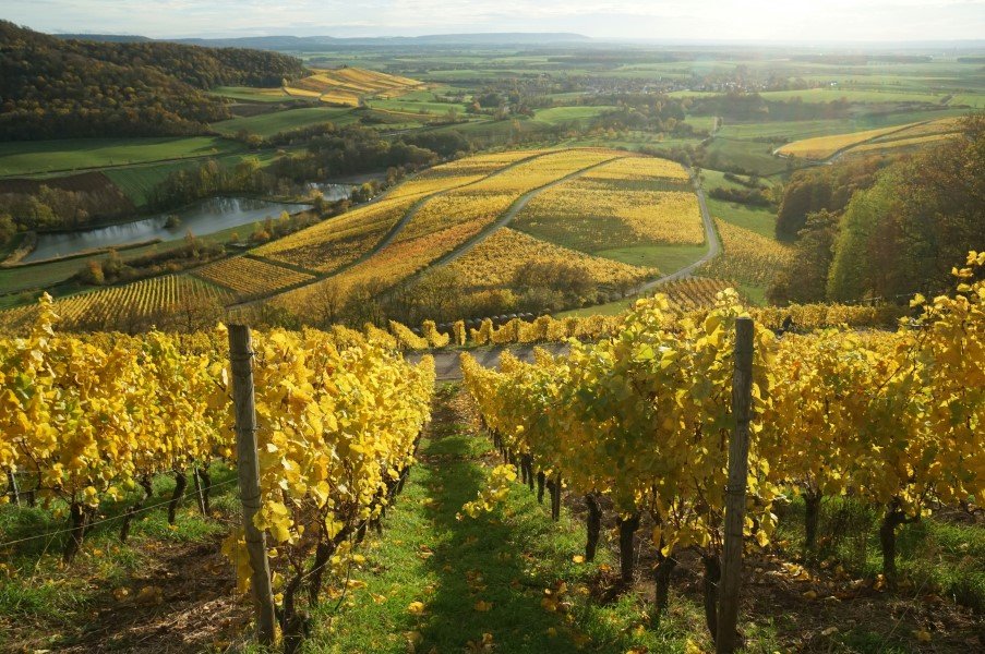 Best wine regions in The World